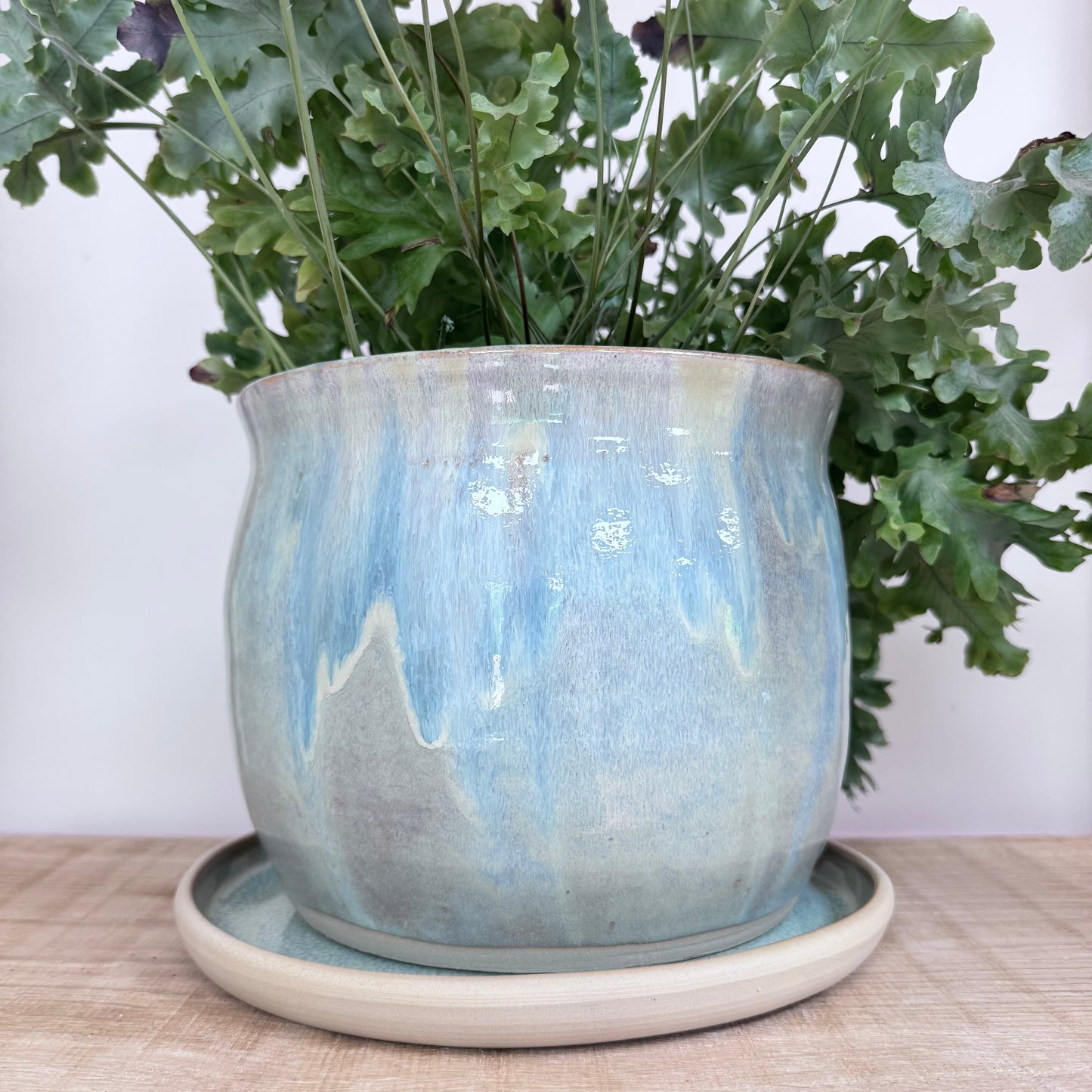 Bloemot groot met plant