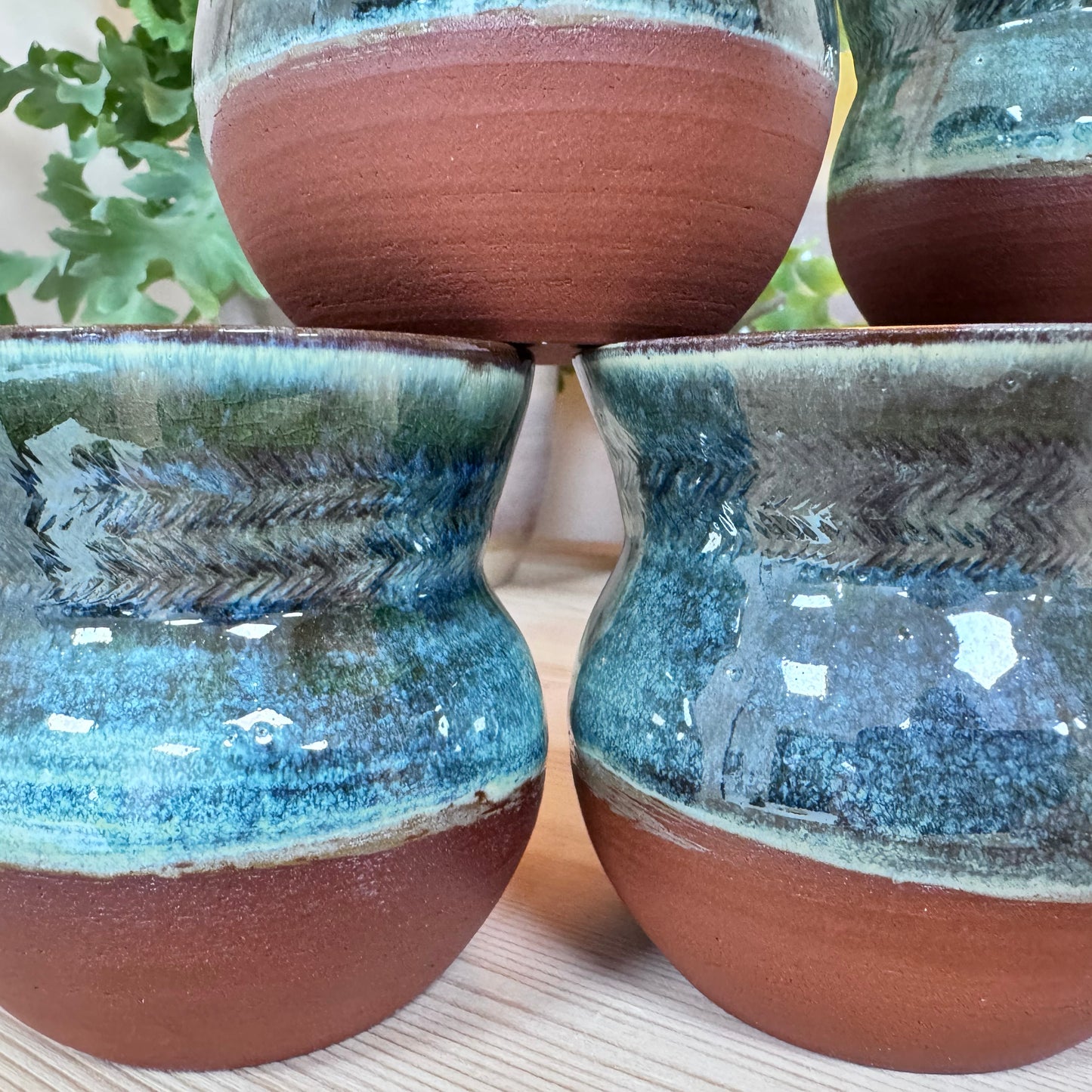 Trechterbekers3
